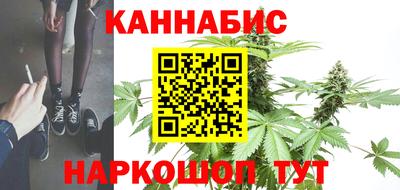 сатива Будённовск