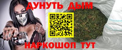 сатива Будённовск